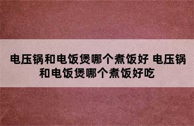 电压锅和电饭煲哪个煮饭好 电压锅和电饭煲哪个煮饭好吃